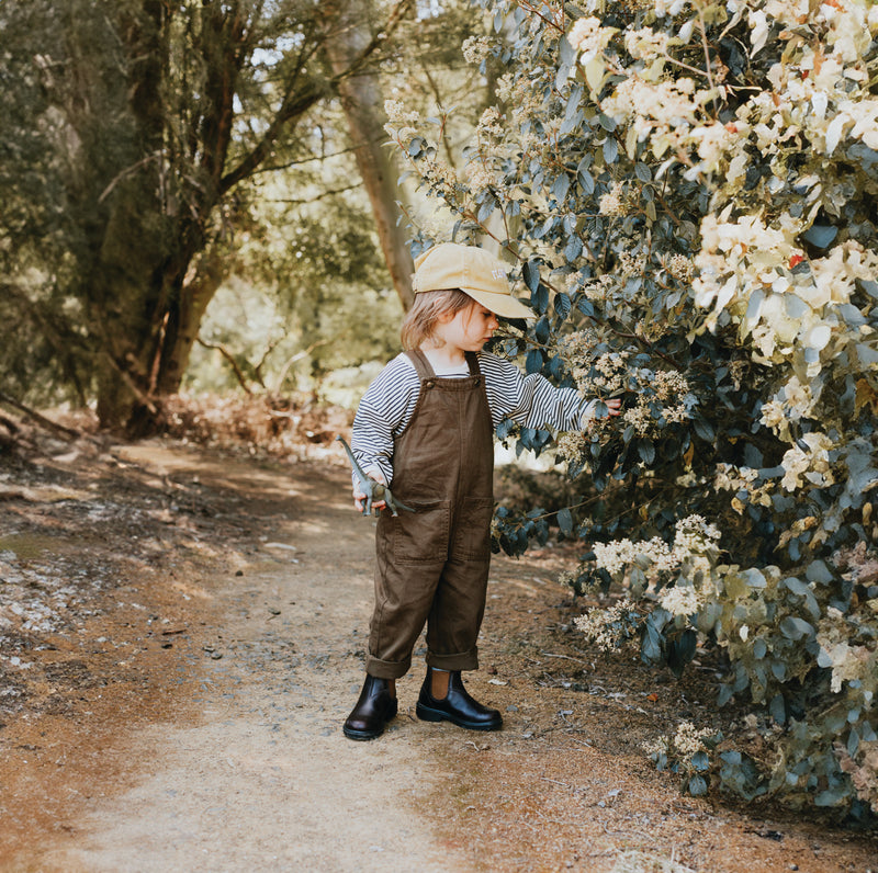 Blundstone Kids 2591 Brown with Toffee Elastic