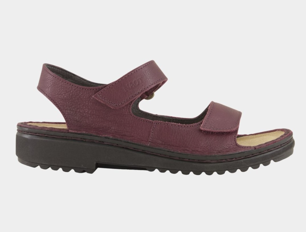 Naot Women s Karenna Wuerth Shoes