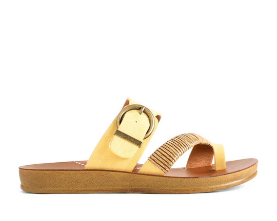 Los Cabos Women's Bria