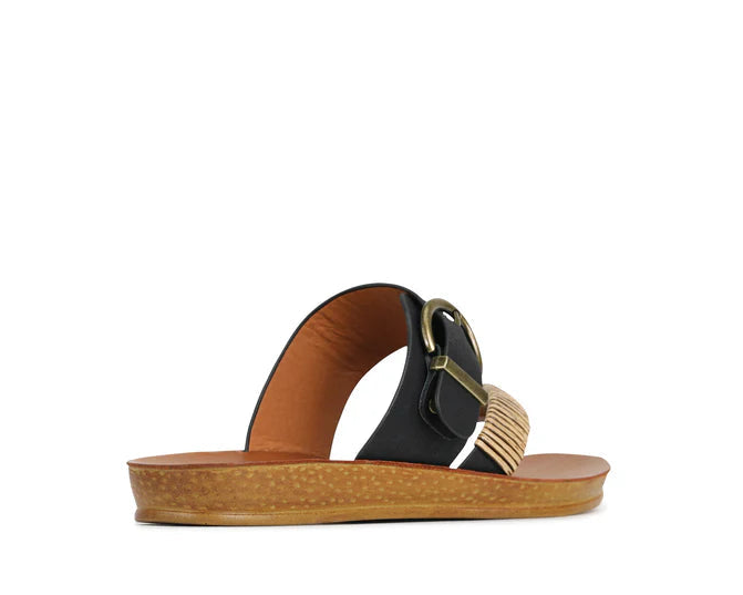 Los Cabos Women&