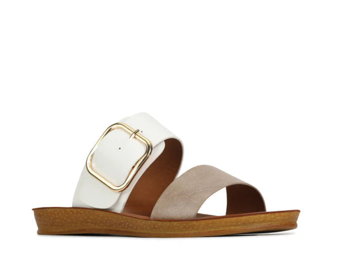 Los Cabos Women&