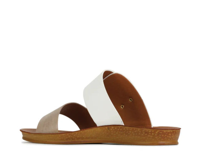 Los Cabos Women&