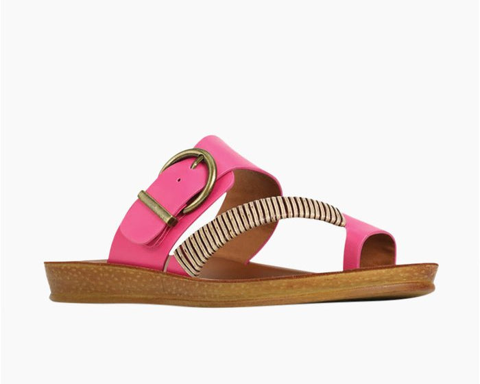 Los Cabos Women&