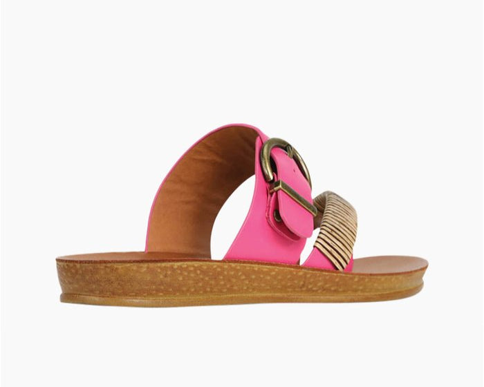 Los Cabos Women&